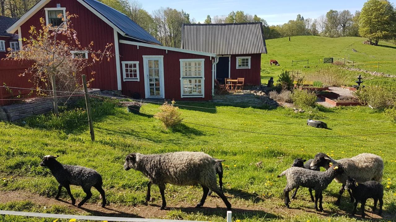 Sjoebacken Gard Bed & Breakfast Lerdala Exterior foto